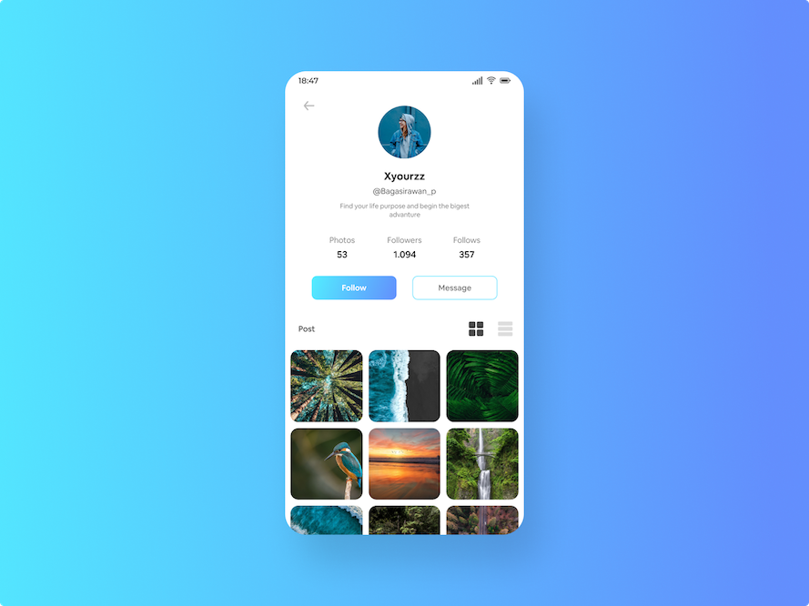 User Profile - Design Exploration.png